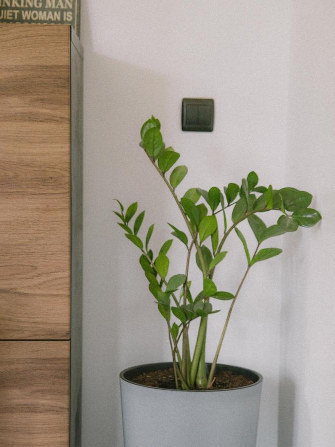 Willa Piwniczka Apartament Jahlowej Piwniczna-Zdroj Bagian luar foto